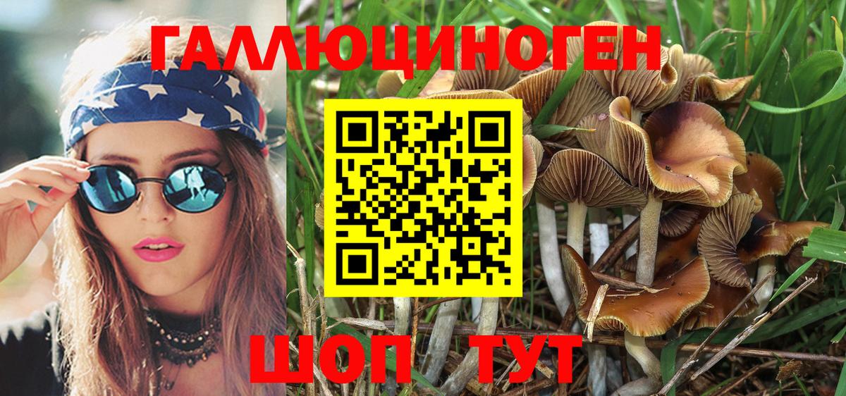 Псилоцибиновые грибы Magic Shrooms Кимовск