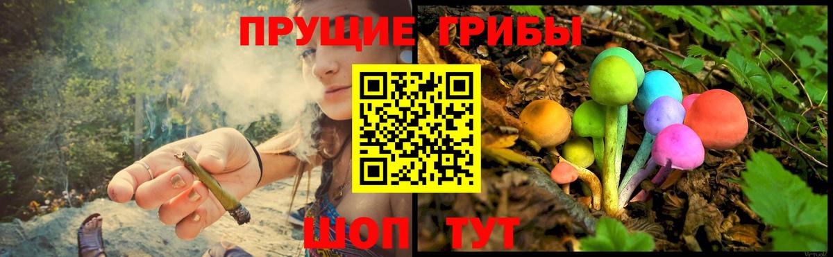 купить наркотик  Псилоцибиновые грибы GOLDEN TEACHER  Вход с VPN  Псилоцибиновые грибы мухоморы  Кимовск 